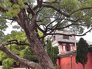 JIUNSHUI TEMPLE DE CONFICIUS (39)
